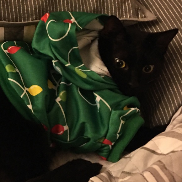 Meet your Posher, Frannie - Picture 1 of 1